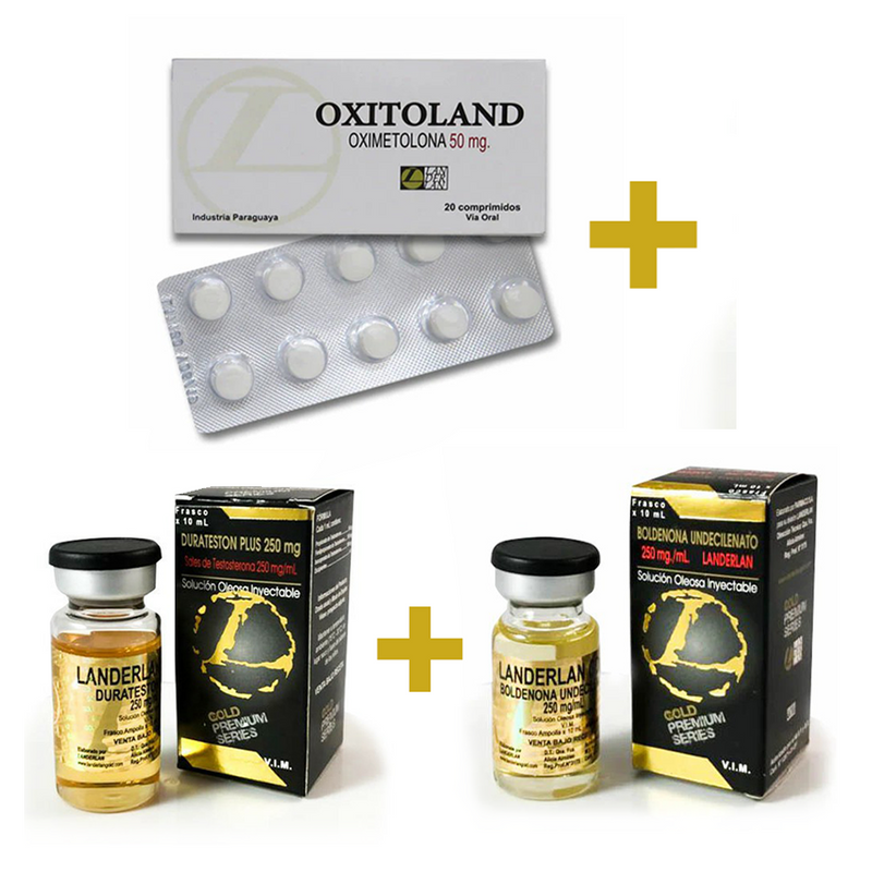 Ciclo Bulking Landerlan