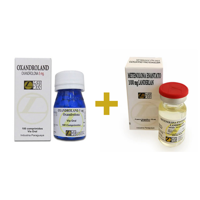 Ciclo de Definição Muscular